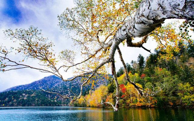 秋の然別湖
